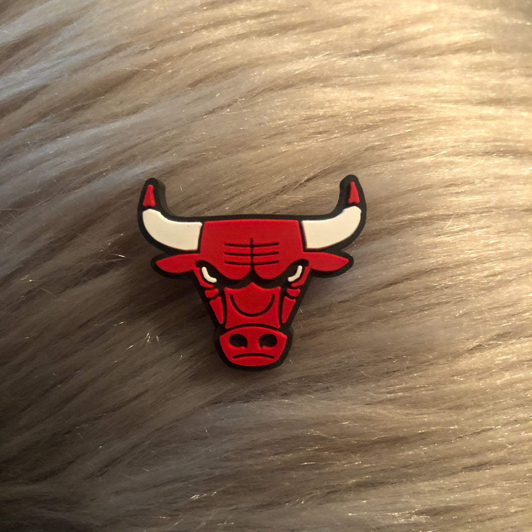 Chicago Bulls